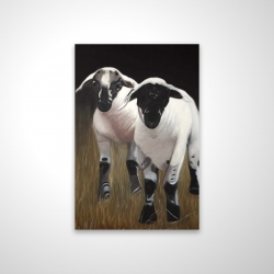Two lambs