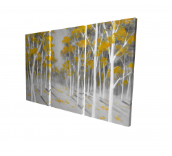 Yellow birch forest