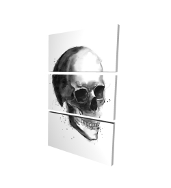 Crâne noir et blanc