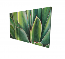Plante d'agave à l'aquarelle