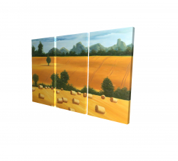 Hay bale fields