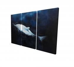 Swimming dolphin