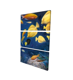 Fish under the sea