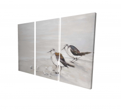 Deux oiseaux bécasseau