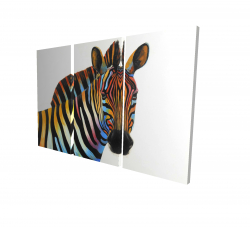 Colorful profile view of a zebra