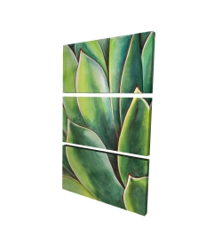 Plante d'agave à l'aquarelle