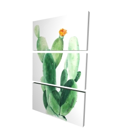 Cactus en fleuraison