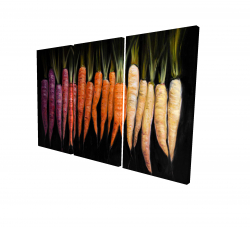 Colorful carrots