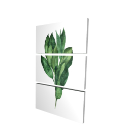 Bouquet de feuilles de laurier