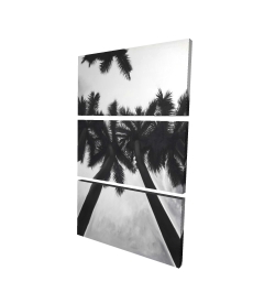 Monochrome palm trees