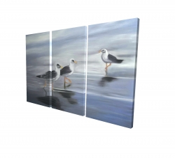Three gulls