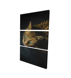 Bengal cat