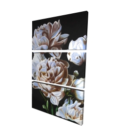 Peonies