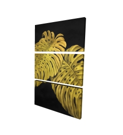 Gold monstera