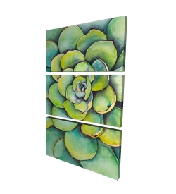 Succulent à l'aquarelle