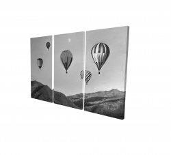 Air balloon landscape