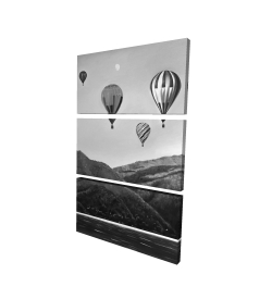 Air balloon landscape
