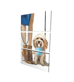 Chien cavoodle à la mode
