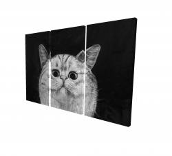 Watching cat