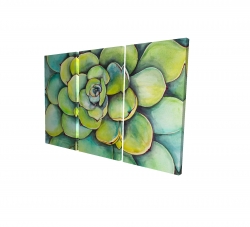 Succulent à l'aquarelle