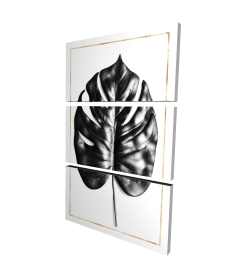 Philodendron à feuilles divisées avec lignes dorées