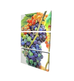 Colorful bunch of grapes