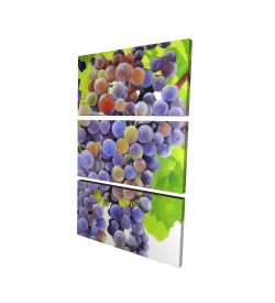 Bunch of grapes