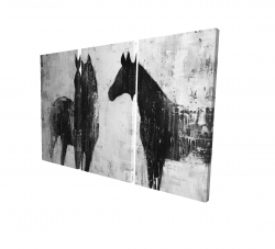Chevaux blancs et noirs