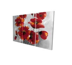 Anemone flowers