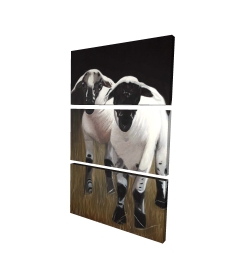 Two lambs