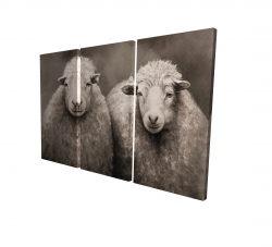 Moutons sépia