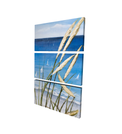 Plante oyat et bord de mer