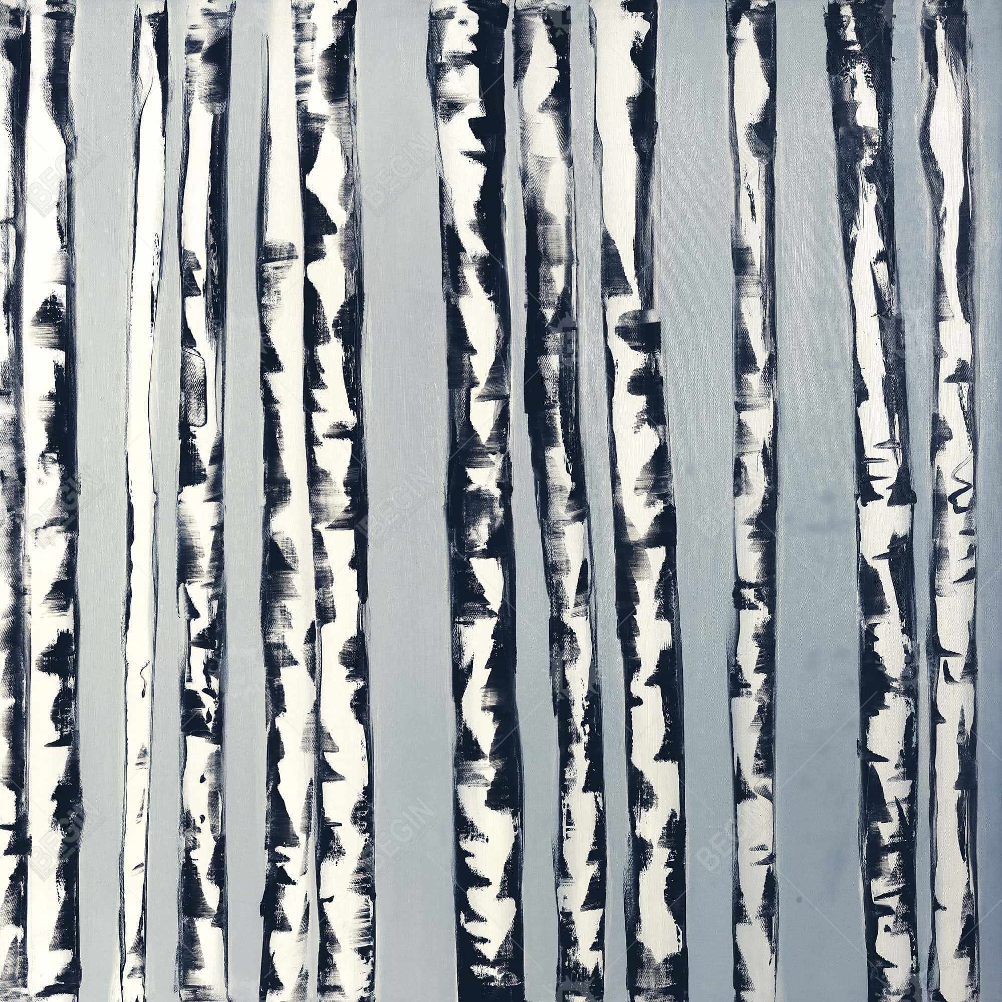 Small birch trees