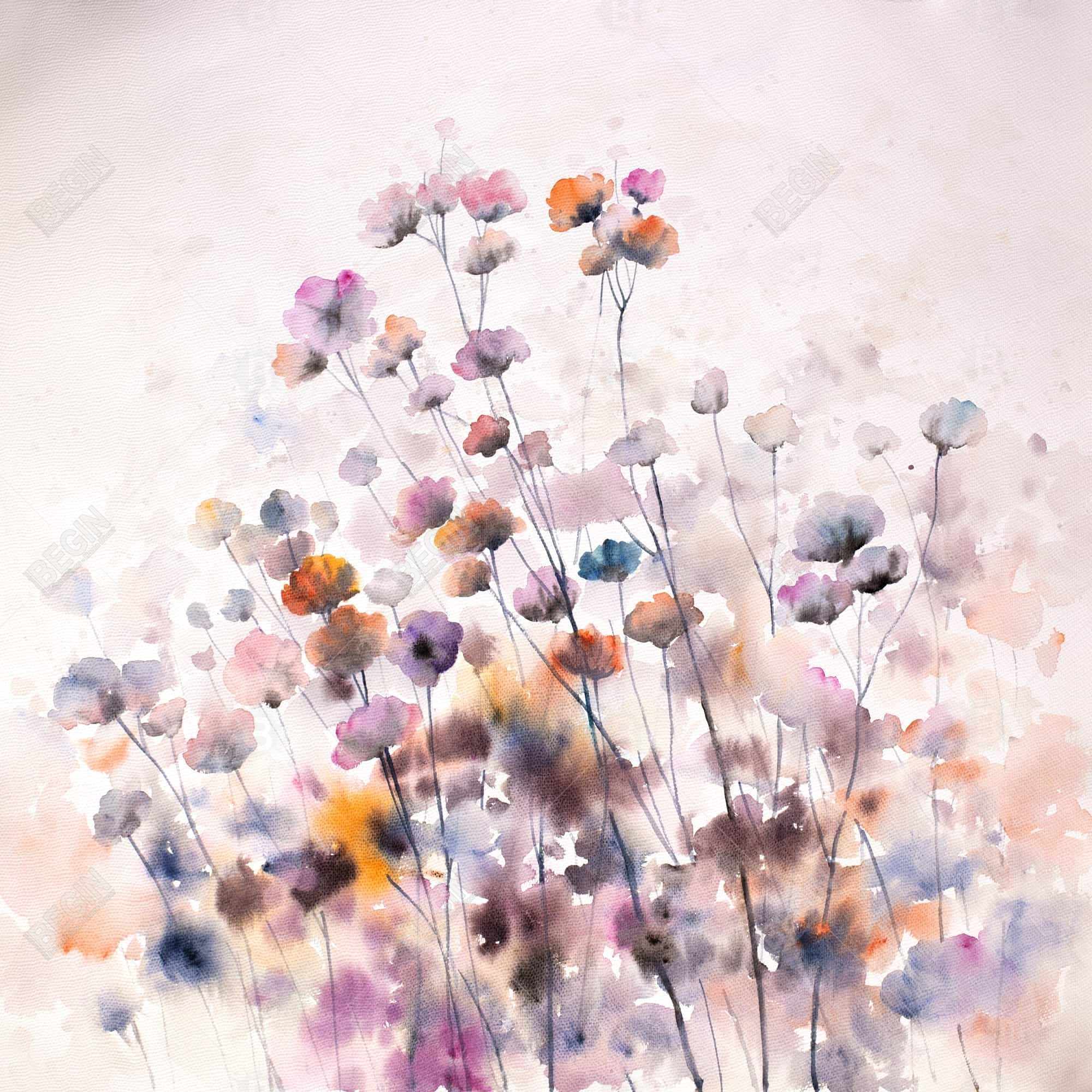 Wildflowers