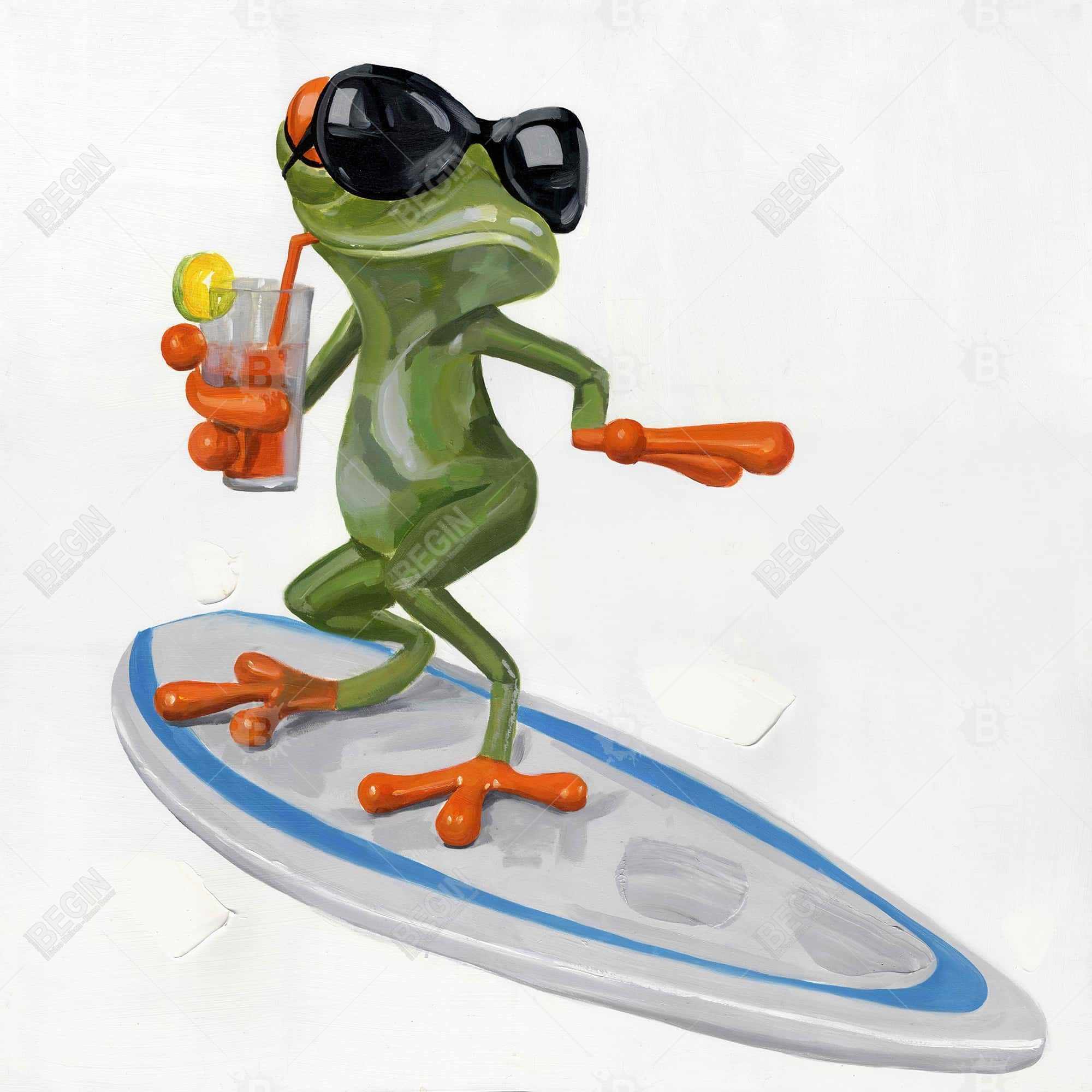 Drôle de grenouille sur surf