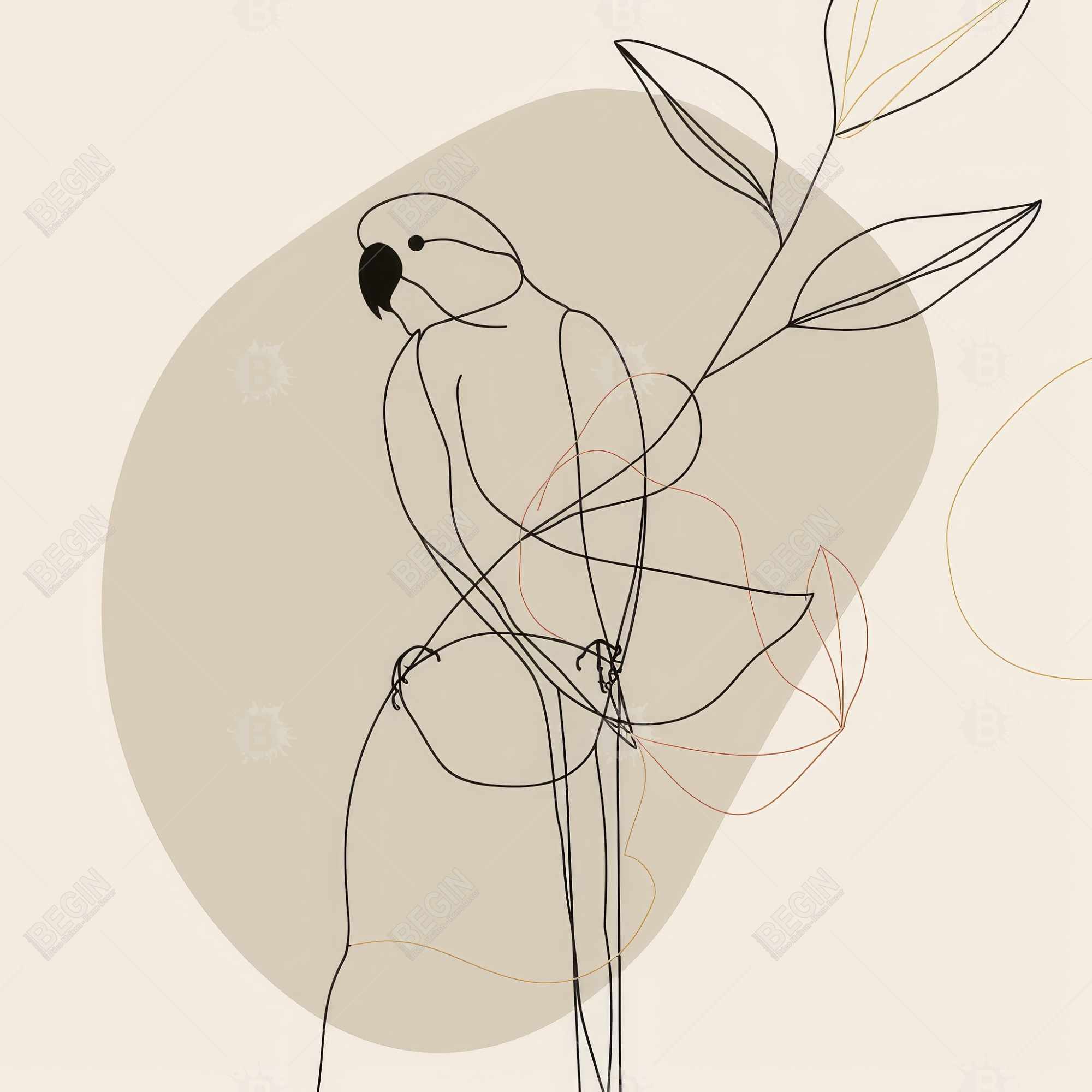 Lovebird