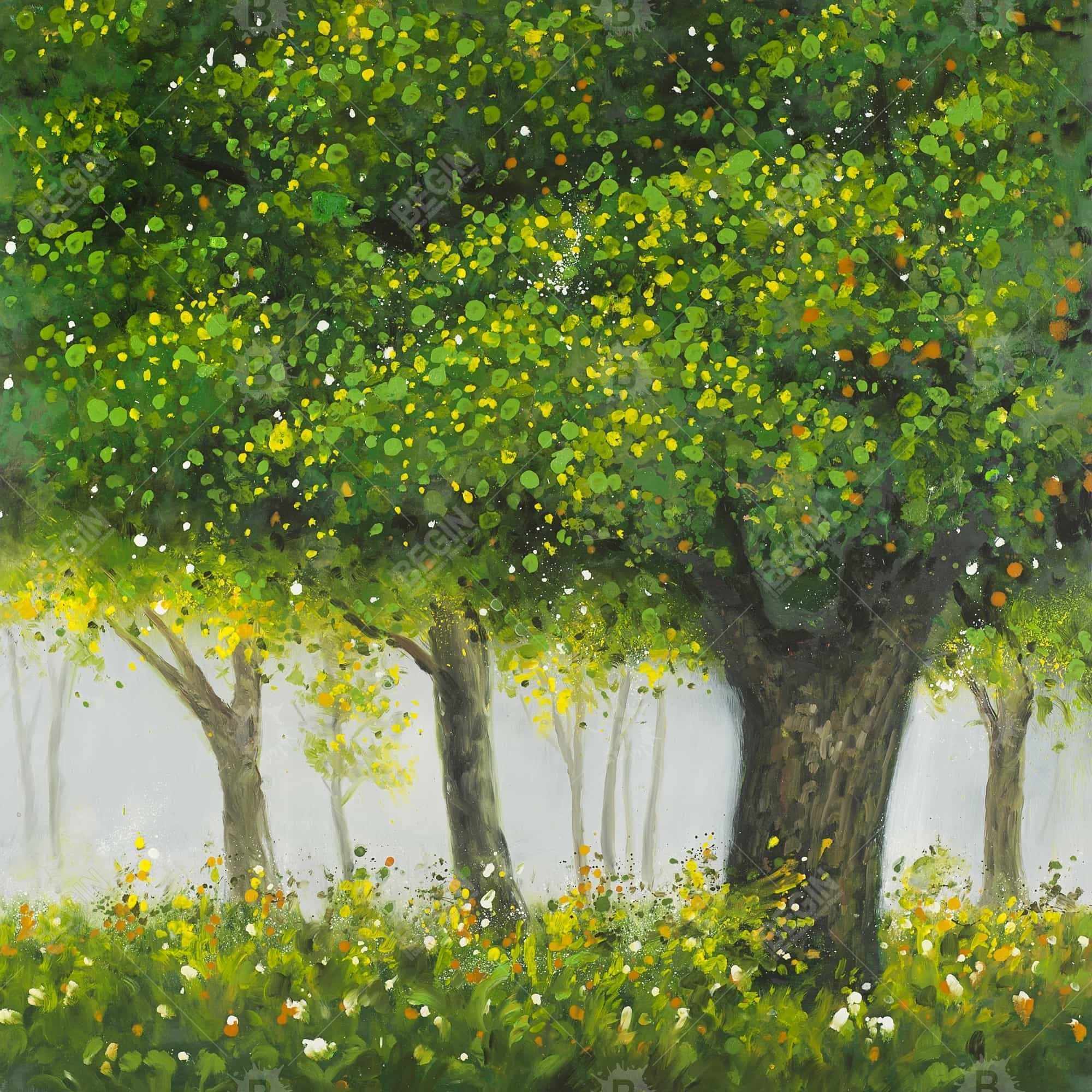 Forêt en été