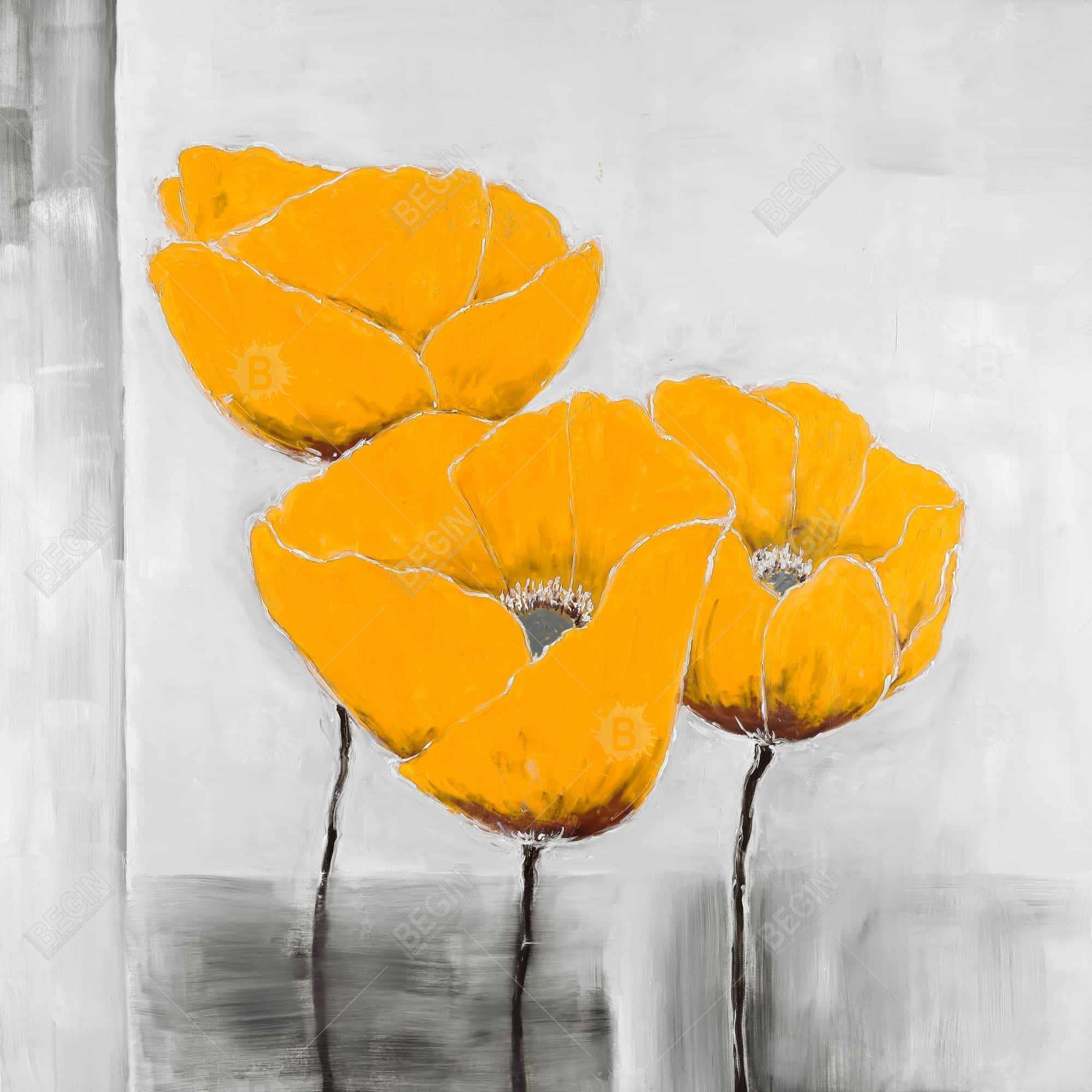 Three yellow flowers