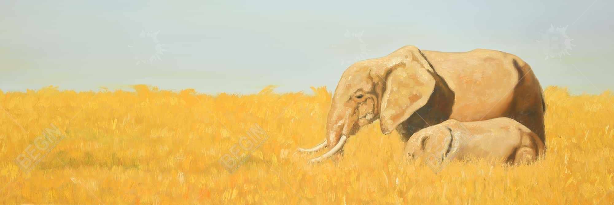 éléphant et son tout petit