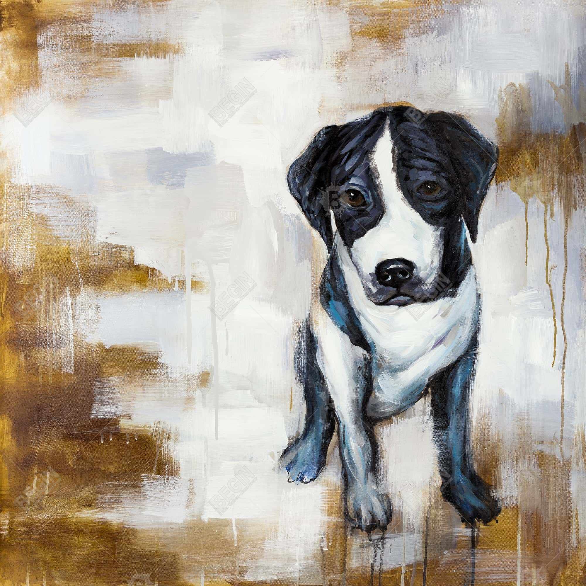 Sitting dog