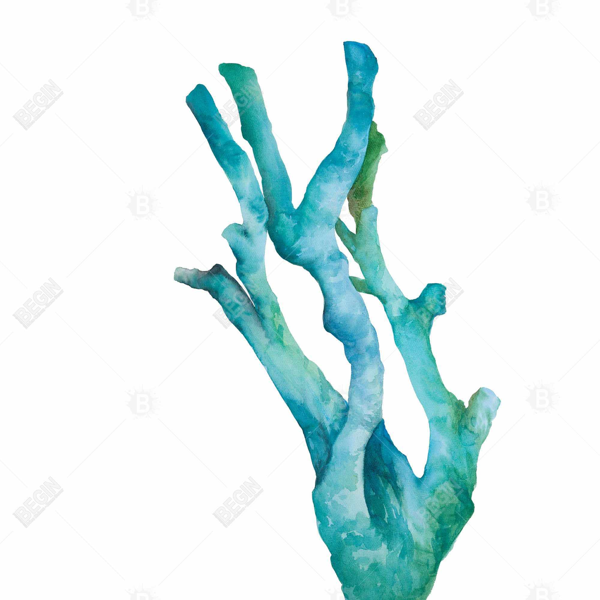 Small watercolor sea coral