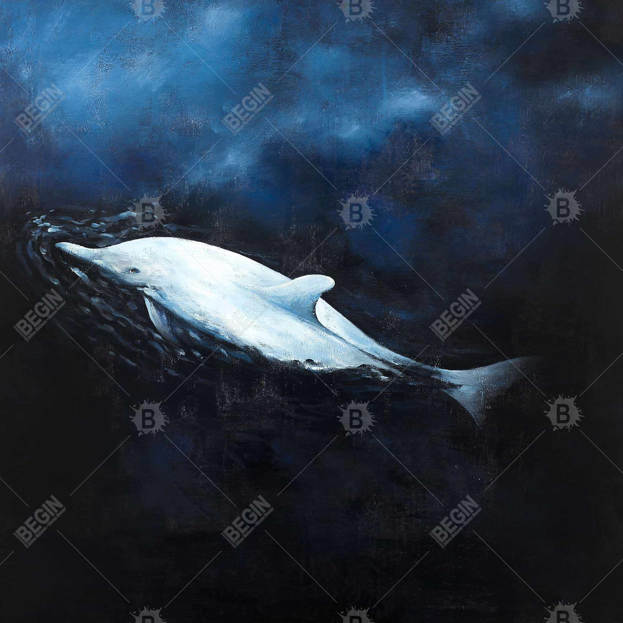 Swimming dolphin