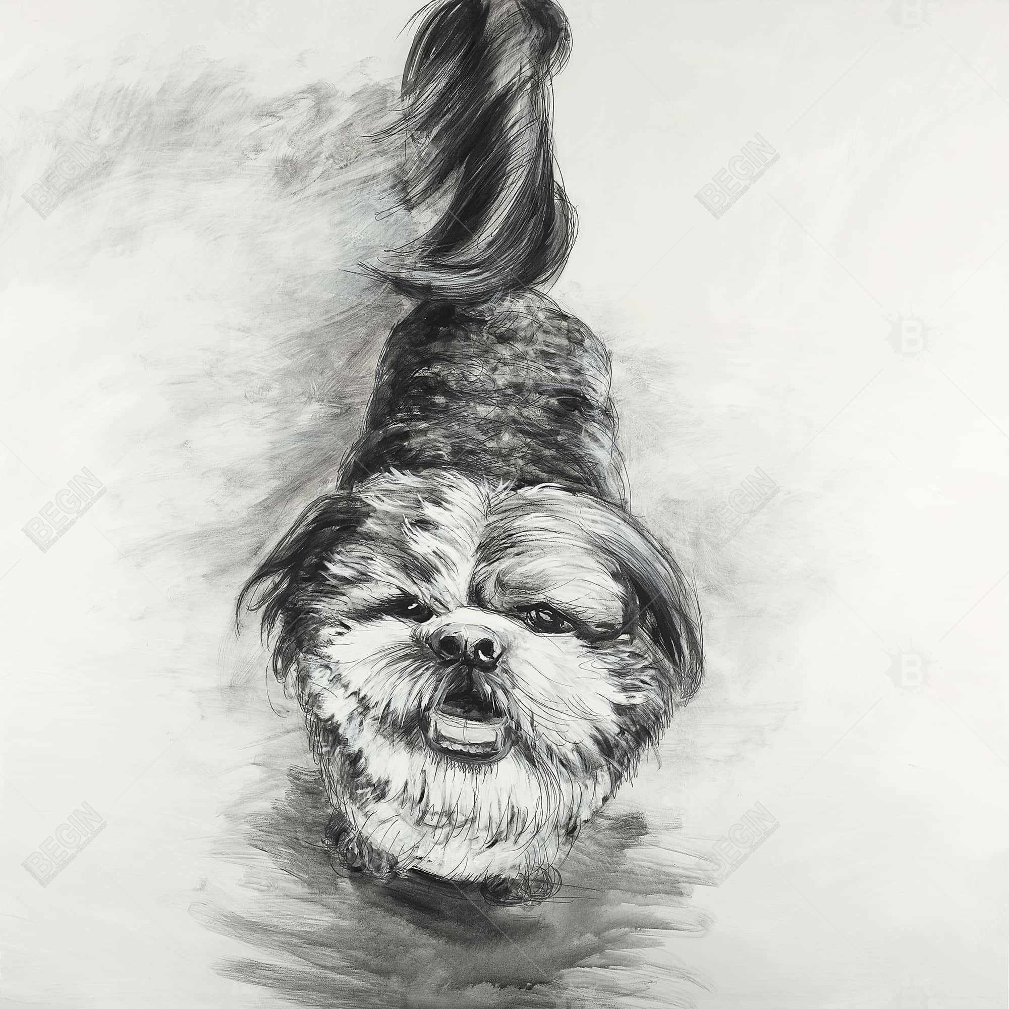Happy dog sketch