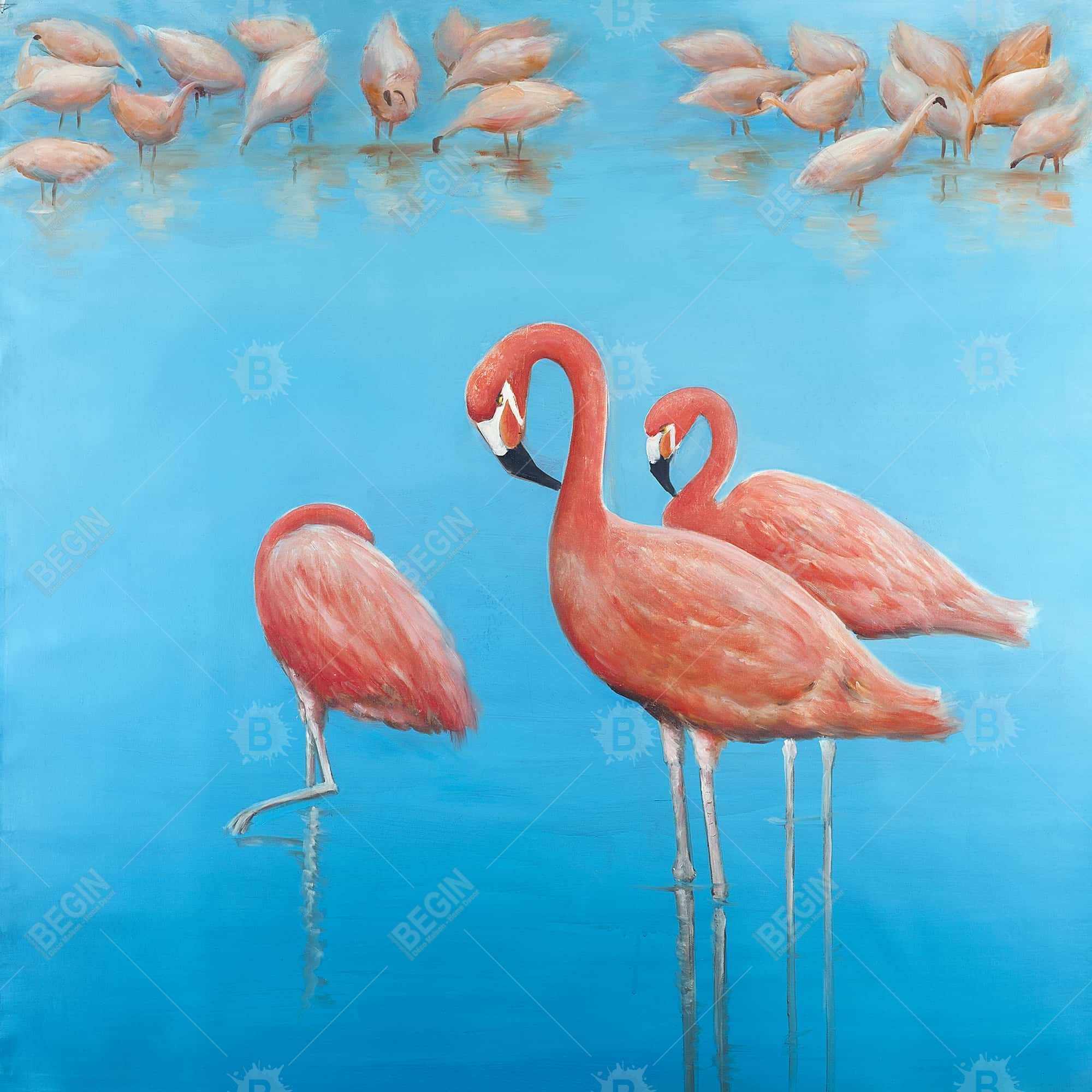 Groupe de flamants