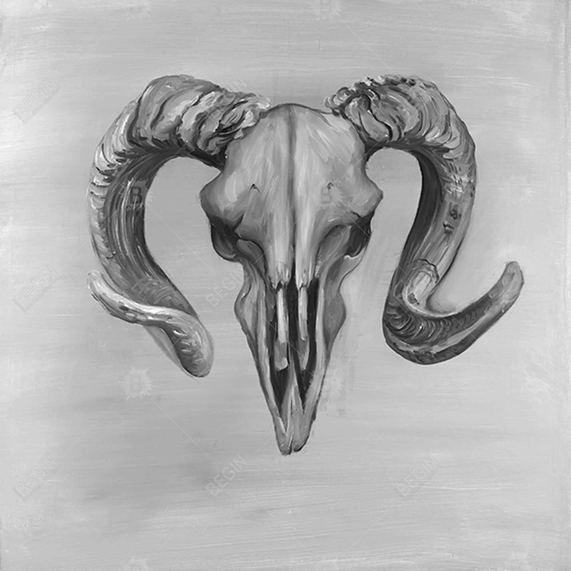 Grayscale aries skull
