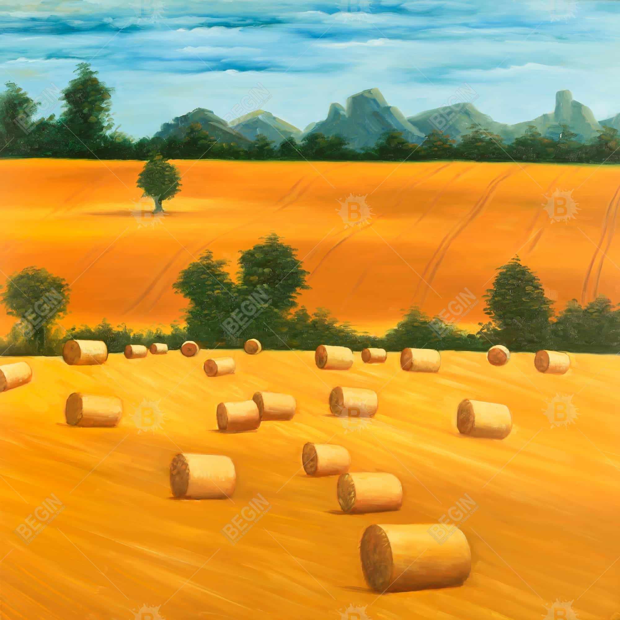 Hay bale fields