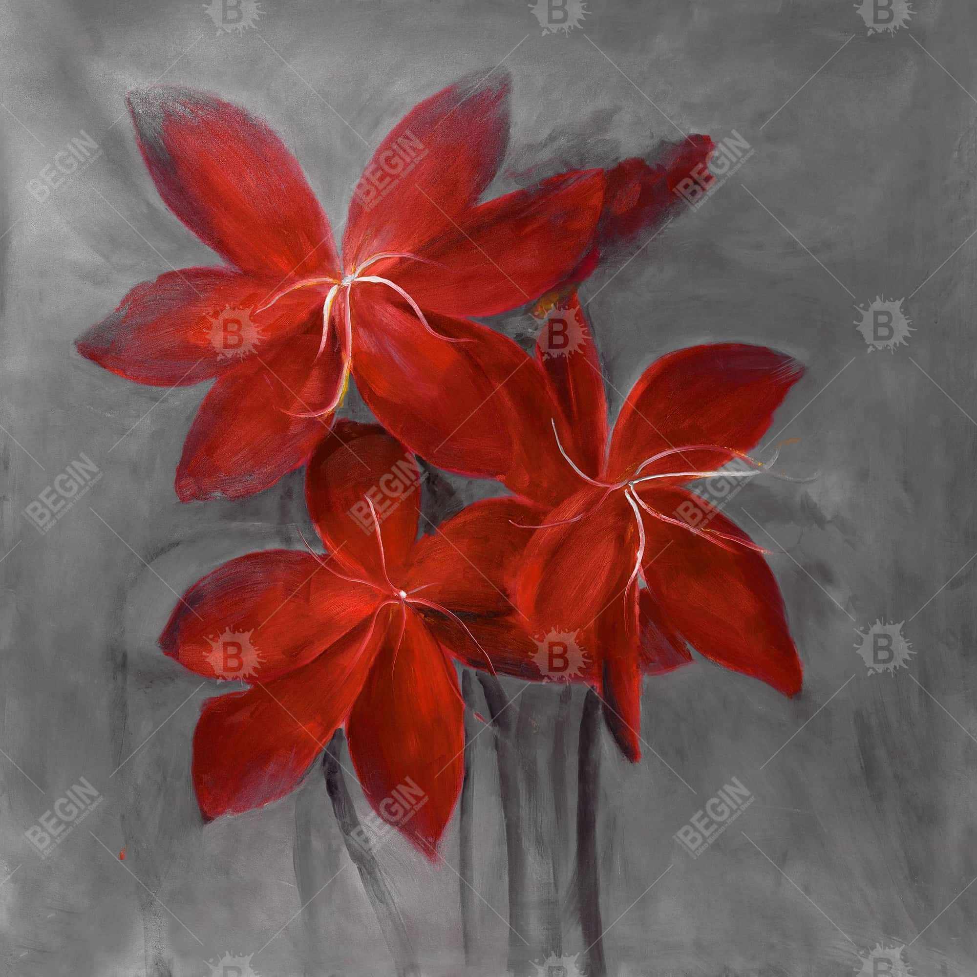 Asiatic lily