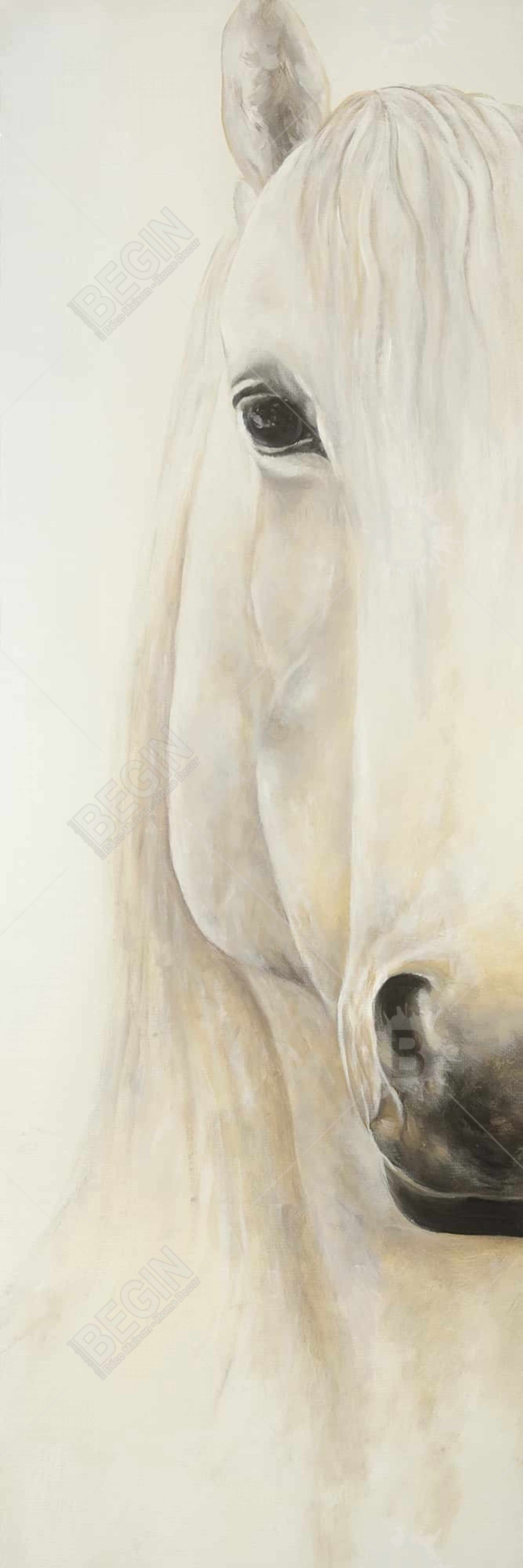 Demi-portrait d'un cheval souriant