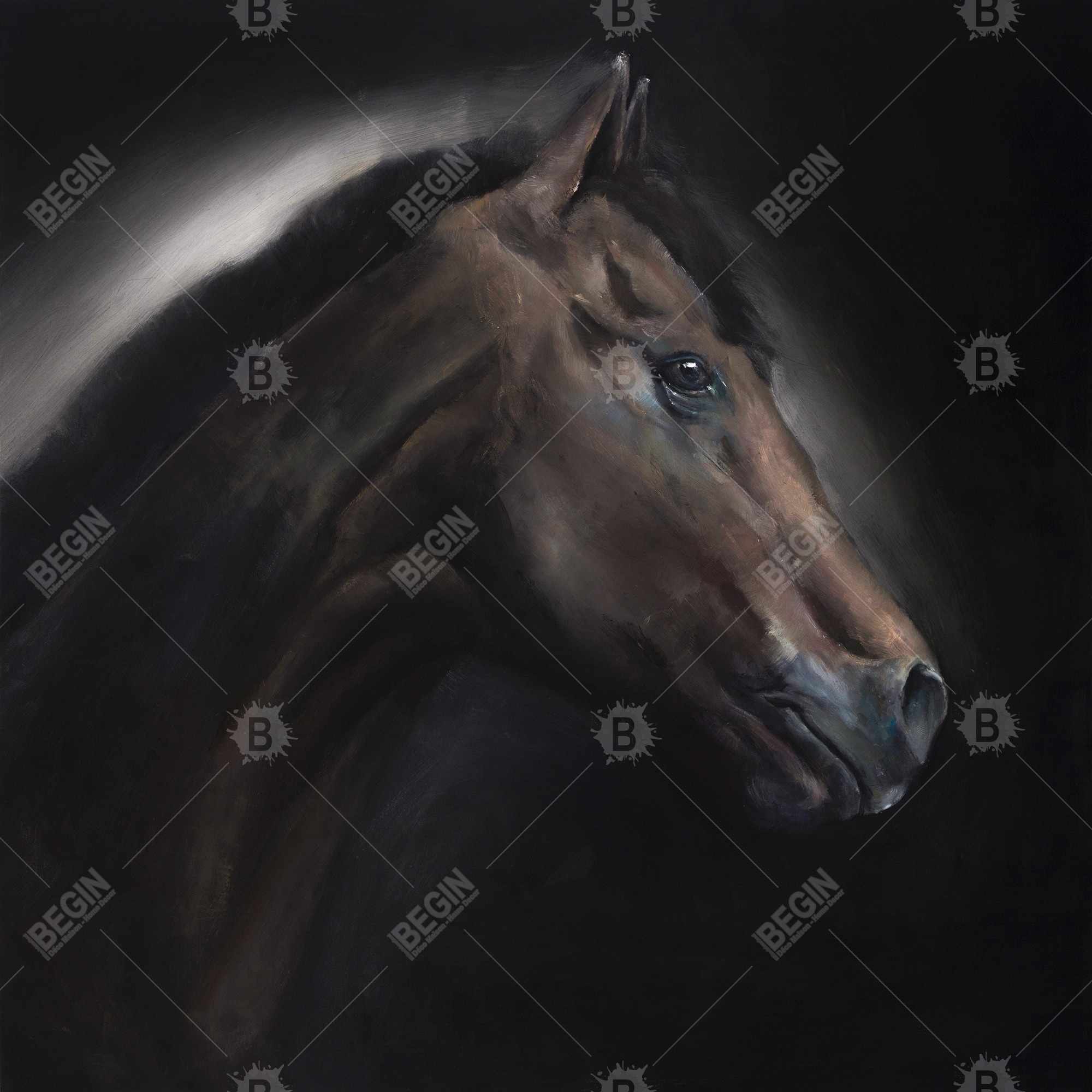 Cheval solitude