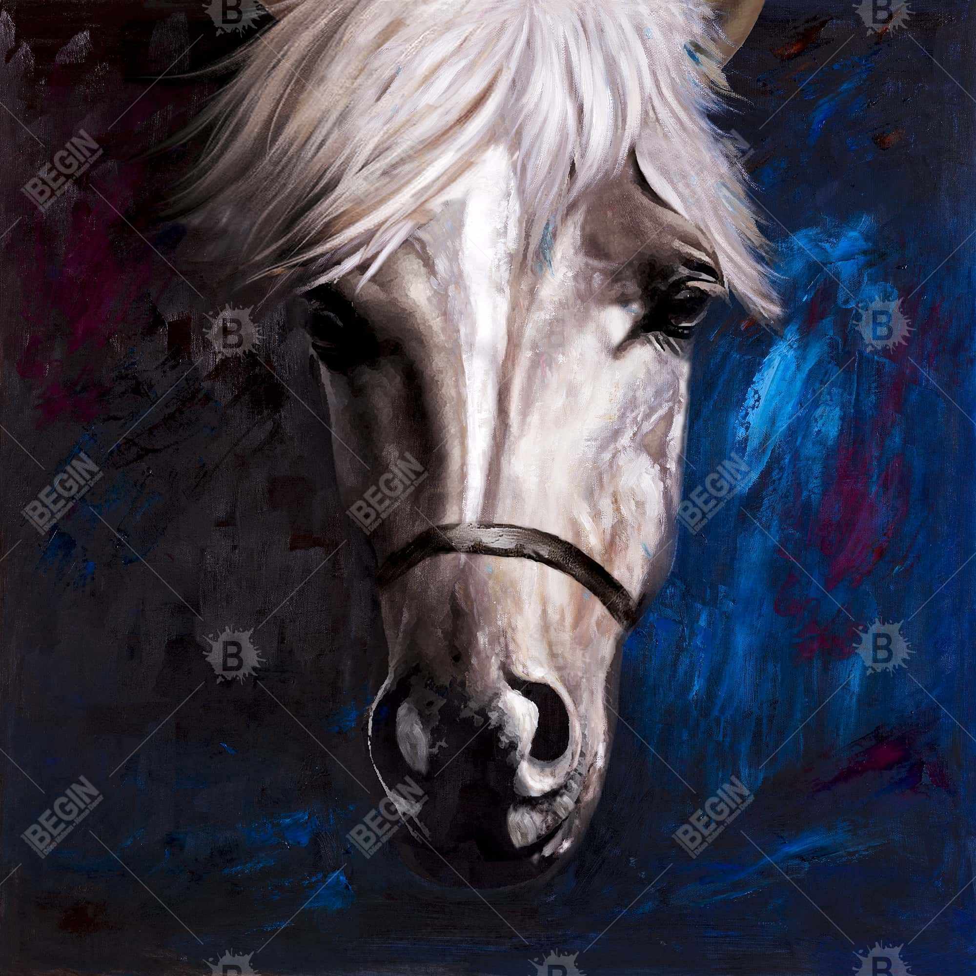 Cheval blanc sur fond bleu